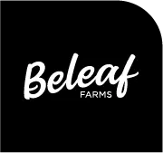 Client SUP - Beleaf